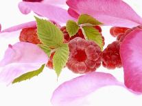 Raspberries with Leaves and Flower Petals-Simon Krzic-Laminated Photographic Print