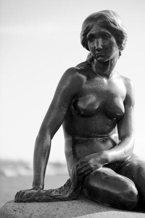 Black-And-White Picture of the Statue of the Little Mermaid in Copenhagen, Denmark, Scandinavia