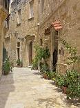 Mdina, the Fortress City, Malta, Europe-Simon Montgomery-Photographic Print