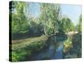 Stretched Canvas