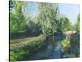 Stretched Canvas