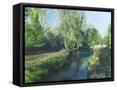 Framed Canvas
