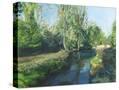 Stretched Canvas