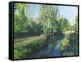 Canvas Black