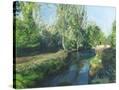 Stretched Canvas