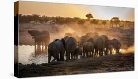 Elephant Huddle-Simon Van Ooijen-Framed Stretched Canvas