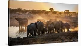 Elephant Huddle-Simon Van Ooijen-Mounted Photographic Print
