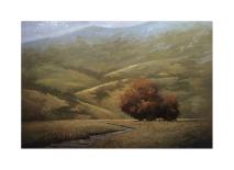 Young Maples-Simon Winegar-Stretched Canvas