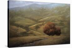 Young Maples-Simon Winegar-Stretched Canvas