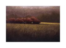 Dwindling Fall-Simon Winegar-Stretched Canvas