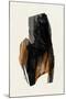 Wood Mount