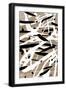 Black Frame