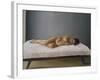 Simona Pregnant Lying Down, 2007-Peter Breeden-Framed Giclee Print