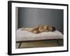 Simona Pregnant Lying Down, 2007-Peter Breeden-Framed Giclee Print