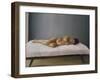 Simona Pregnant Lying Down, 2007-Peter Breeden-Framed Giclee Print