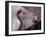 Simone Signoret and Jean Gabin: Le Chat, 1971-Marcel Dole-Framed Photographic Print