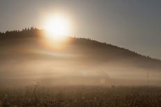 alpine pastures on the Jôf di Montasio, Italy-Simone Wunderlich-Photographic Print