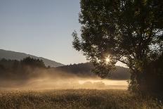 alpine pastures on the Jôf di Montasio, Italy-Simone Wunderlich-Photographic Print