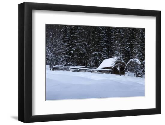 Premium Photographic Print, , large