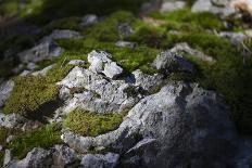 alpine pastures on the Jôf di Montasio, Italy-Simone Wunderlich-Photographic Print