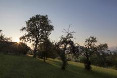 alpine pastures on the Jôf di Montasio, Italy-Simone Wunderlich-Photographic Print