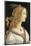 Simonetta Vespucci in Mythological Guise-Sandro Botticelli-Mounted Premium Giclee Print