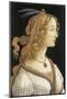 Simonetta Vespucci in Mythological Guise-Sandro Botticelli-Mounted Premium Giclee Print
