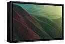 Framed Canvas