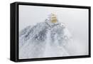 Framed Canvas
