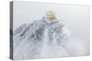Stretched Canvas