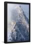 Essential Black