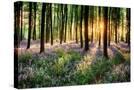 Stretched Canvas