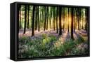 Canvas Black