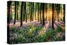 Stretched Canvas