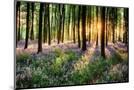 Wood Mount