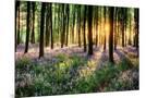 Wood Mount