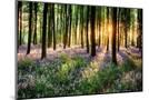 Wood Mount