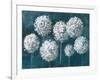 Simple Agapanthus Dark-Danhui Nai-Framed Art Print