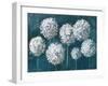 Simple Agapanthus Dark-Danhui Nai-Framed Art Print