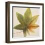 Simple and Beauty I-Patricia Pinto-Framed Art Print