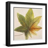 Simple and Beauty I-Patricia Pinto-Framed Art Print