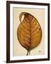 Simple and Interesting I-Patricia Pinto-Framed Art Print