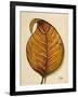 Simple and Interesting I-Patricia Pinto-Framed Art Print