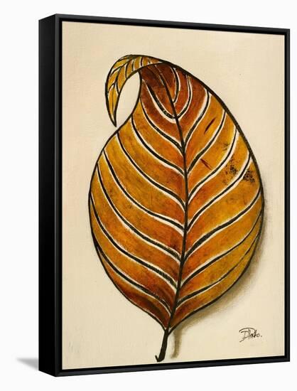 Simple and Interesting I-Patricia Pinto-Framed Stretched Canvas