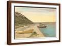Brown Frame