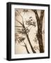 Simple Branches II-Alonzo Saunders-Framed Art Print