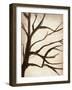 Simple Branches V-Alonzo Saunders-Framed Art Print