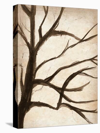 Simple Branches V-Alonzo Saunders-Stretched Canvas