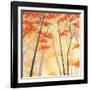 Simple Day-Herb Dickinson-Framed Photographic Print