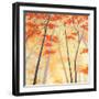 Simple Day-Herb Dickinson-Framed Photographic Print